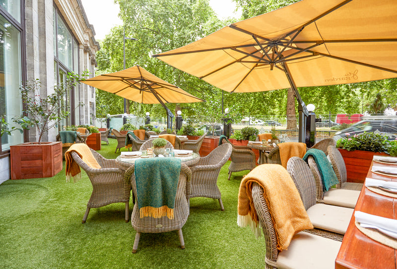 Kensington Dining Armchair