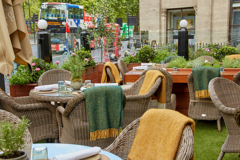 Kensington Dining Armchair