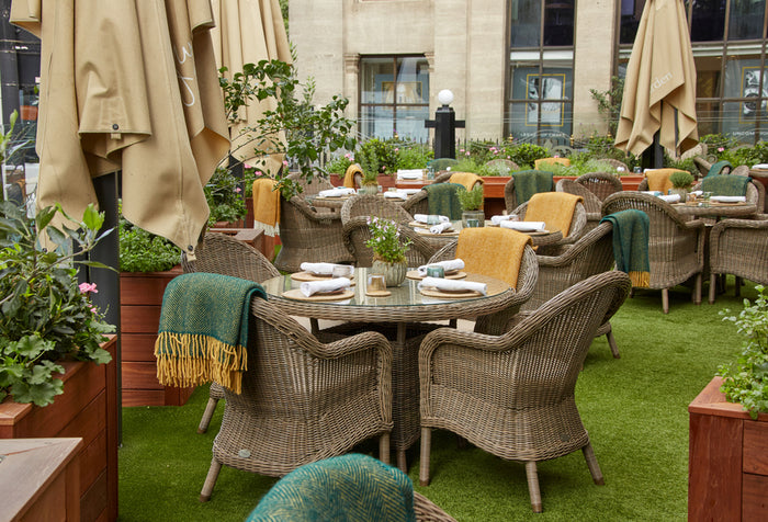 Kensington Dining Armchair