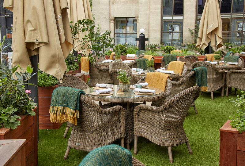 Kensington Dining Armchair